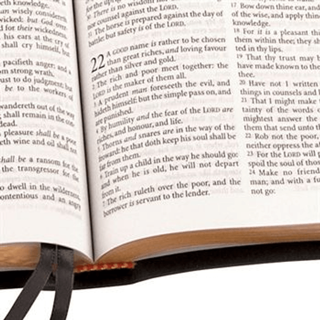 Calfskin Leather King James Bible