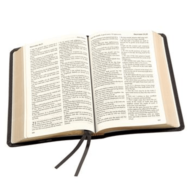 Calfskin Leather King James Bible