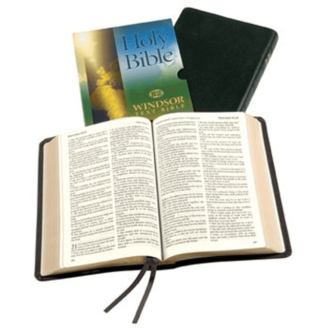 Calfskin Leather King James Bible